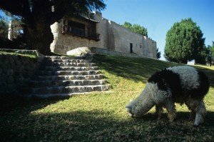 sabandia-molino-arequipa-tours