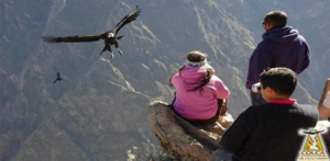 Colca Canyon Flight of Condores Arequipa inka jungle treks